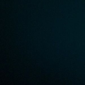 Meet your Posher, Ron